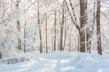 Similar image 21166066