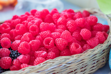 Similar image 21166071