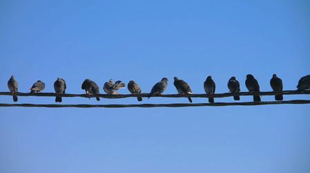 Similar image 21154220