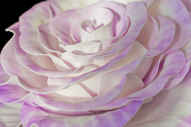 Similar image 21165416