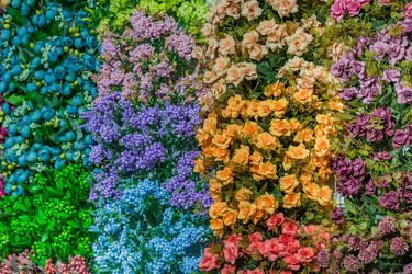 Similar image 21165428