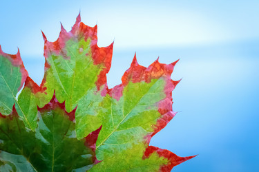 Similar image 21147358