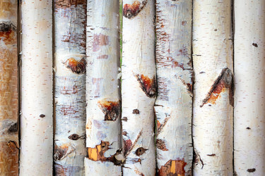 Similar image 21147384