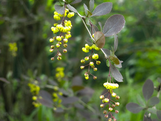 Similar image 21139549