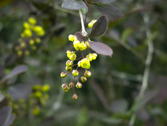 Similar image 21139550