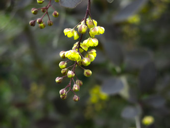 Similar image 21139551