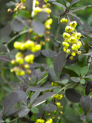 Similar image 21139553