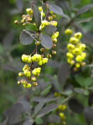 Similar image 21139554