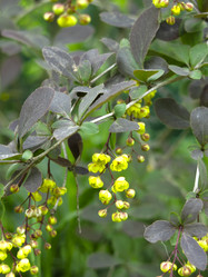 Similar image 21139555