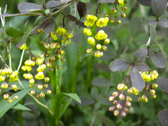 Similar image 21139556