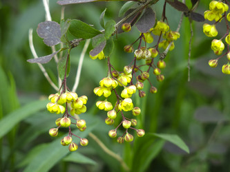 Similar image 21139557