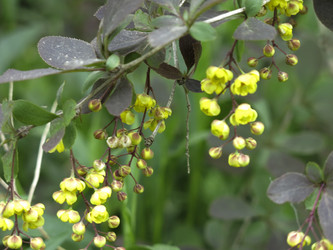 Similar image 21139558