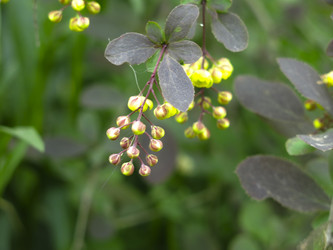 Similar image 21139559