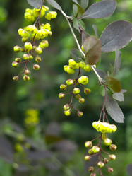 Similar image 21139560