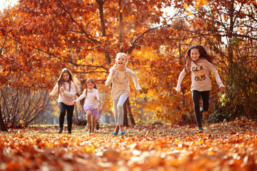 Similar image 21139573