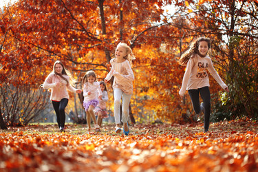 Similar image 21139574