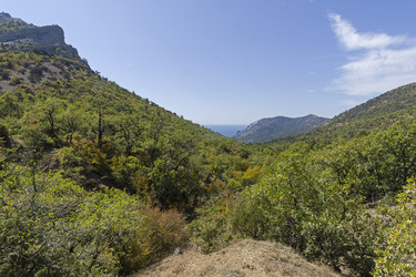 Similar image 21140792