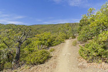 Similar image 21140795