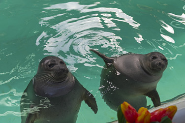 Similar image 21140796