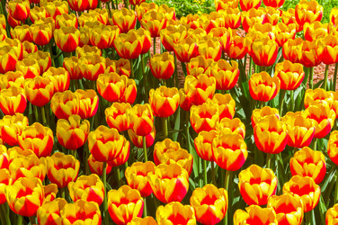 Similar image 21140797