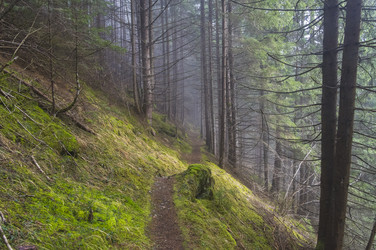 Similar image 21140798