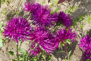 Similar image 21140799