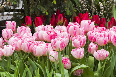 Similar image 21140805