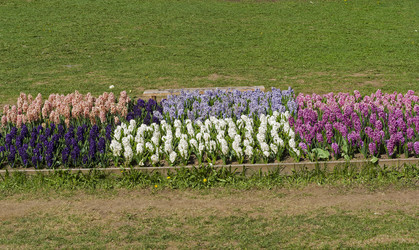 Similar image 21140807