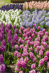 Similar image 21140808