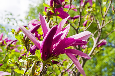 Similar image 21140809