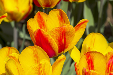 Similar image 21140810