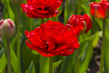 Similar image 21140812