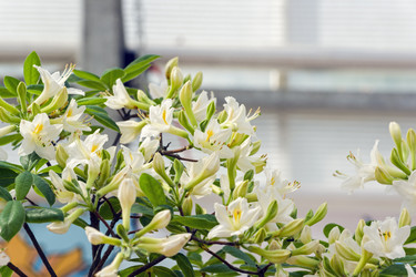 Similar image 21140813