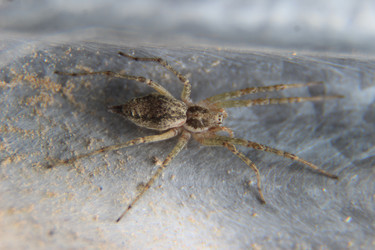 Similar image 21141982