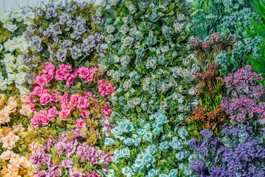 Similar image 21164633