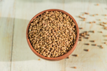 Similar image 21164644