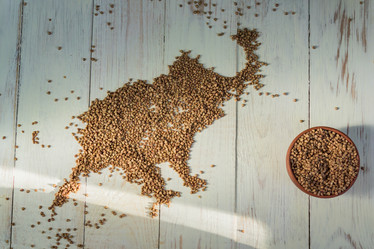 Similar image 21164649