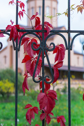 Similar image 21139725