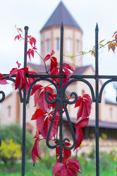 Similar image 21139726