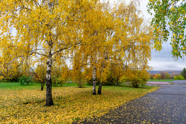 Similar image 21139728