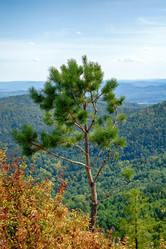 Similar image 21139734