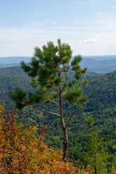 Similar image 21139735