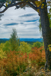 Similar image 21139738