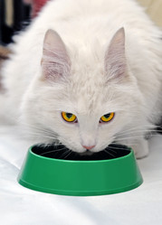 Similar image 21141984