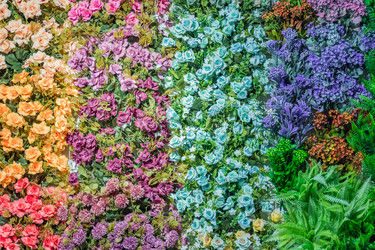 Similar image 21165104