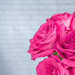 Similar image 21166094