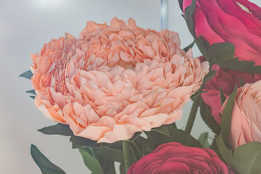 Similar image 21166107