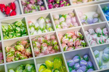 Similar image 21166115