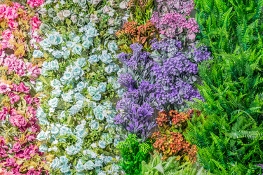 Similar image 21166116