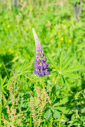 Similar image 21166130